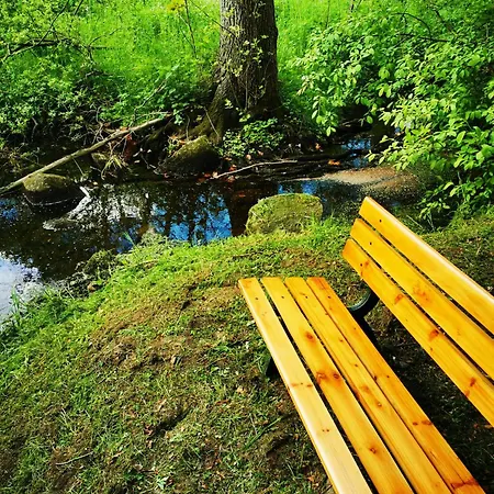 Nordsee 110 Qm - Naturpark 1,4 Ha Und Wintergarten *
